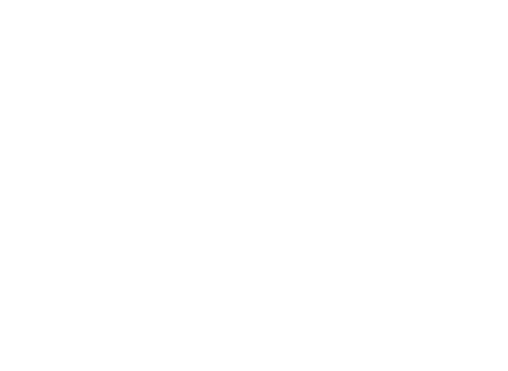 White Logo for Martie PI, Licensed Private Investigator